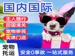 天水麦积山航空邮寄国际宠物托运 【国